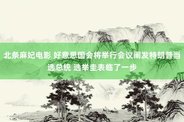 北条麻妃电影 好意思国会将举行会议阐发特朗普当选总统 选举圭表临了一步