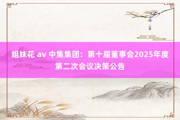 姐妹花 av 中集集团：第十届董事会2025年度第二次会议决策公告