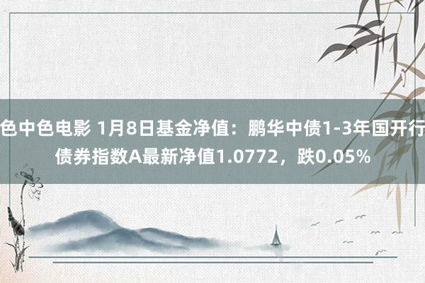 色中色电影 1月8日基金净值：鹏华中债1-3年国开行债券指数A最新净值1.0772，跌0.05%