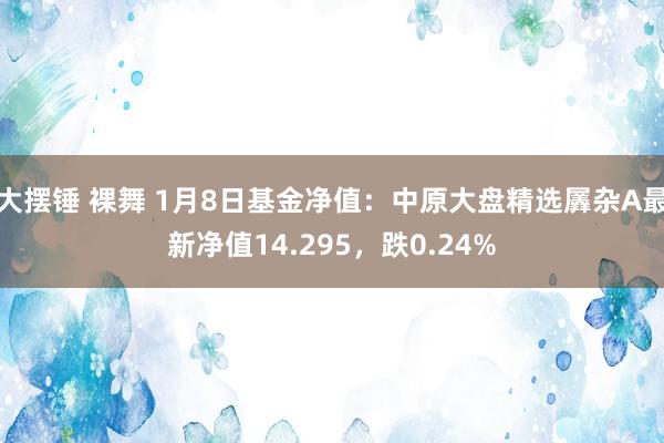 大摆锤 裸舞 1月8日基金净值：中原大盘精选羼杂A最新净值14.295，跌0.24%