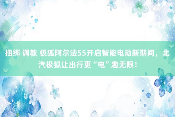 捆绑 调教 极狐阿尔法S5开启智能电动新期间，北汽极狐让出行更“电”趣无限！