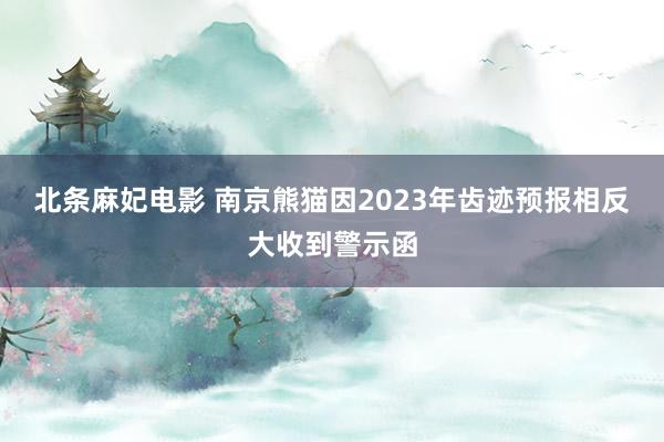 北条麻妃电影 南京熊猫因2023年齿迹预报相反大收到警示函