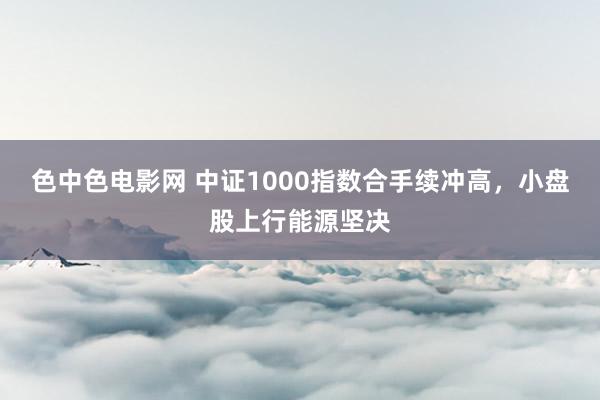 色中色电影网 中证1000指数合手续冲高，小盘股上行能源坚决