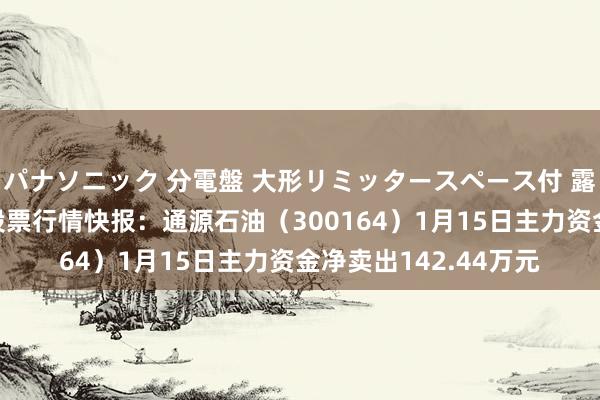 パナソニック 分電盤 大形リミッタースペース付 露出・半埋込両用形 股票行情快报：通源石油（300164）1月15日主力资金净卖出142.44万元