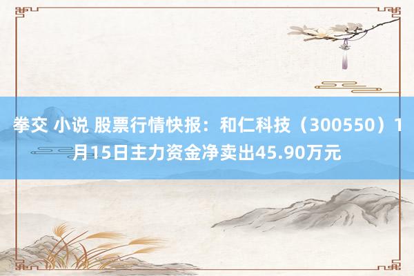 拳交 小说 股票行情快报：和仁科技（300550）1月15日主力资金净卖出45.90万元