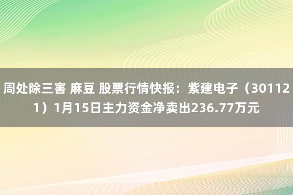 周处除三害 麻豆 股票行情快报：紫建电子（301121）1月15日主力资金净卖出236.77万元