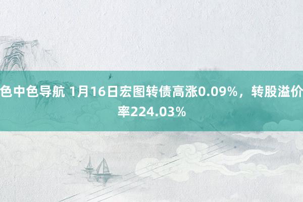 色中色导航 1月16日宏图转债高涨0.09%，转股溢价率224.03%