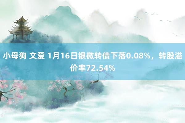 小母狗 文爱 1月16日银微转债下落0.08%，转股溢价率72.54%