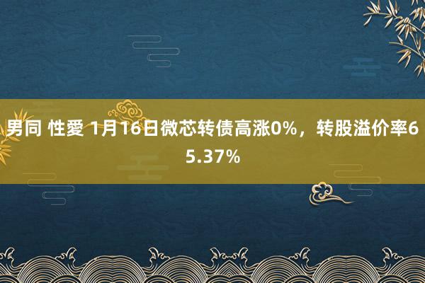 男同 性愛 1月16日微芯转债高涨0%，转股溢价率65.37%